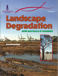 LANDSCAPE DEGRADATION