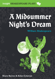 INSIGHT SHAKESPEARE PLAYS: A MIDSUMMER NIGHT'S DREAM 2E