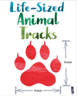 LIFE-SIZED ANIMAL TRACKS