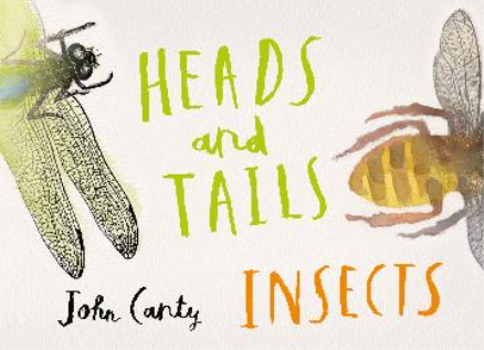 HEADS AND TAILS: INSECTS