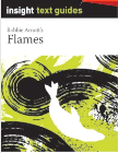 INSIGHT TEXT GUIDE: FLAMES + EBOOK BUNDLE