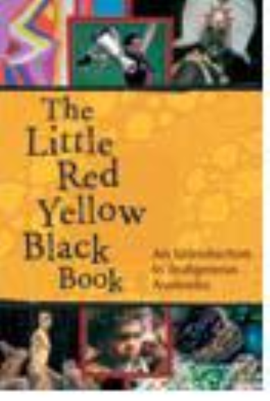 THE LITTLE RED YELLOW BLACK BOOK