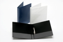 2D RING A4 25MM WITH CLEAR INSERT FOLDER