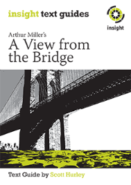 INSIGHT TEXT GUIDE: VIEW FROM A BRIDGE