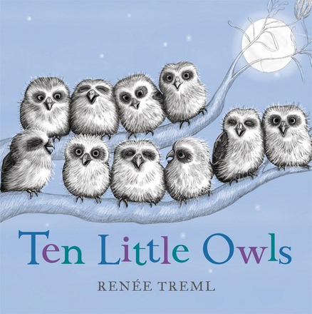 TEN LITTLE OWLS