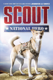 SCOUT: NATIONAL HERO