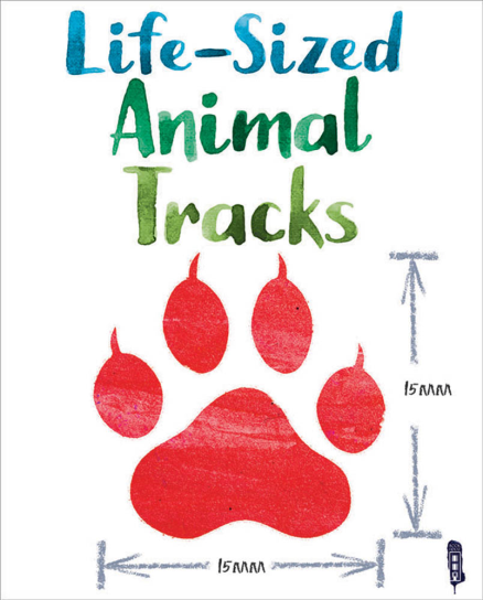 Buy Book - LIFE-SIZED ANIMAL TRACKS | Lilydale Books