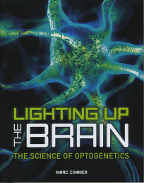 LIGHTING UP THE BRAIN