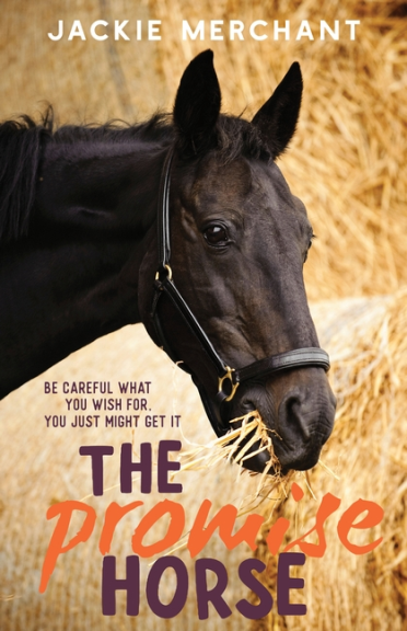 THE PROMISE HORSE