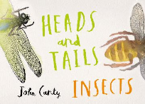 HEADS AND TAILS: INSECTS