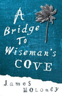 A BRIDGE TO WISEMAN'S COVE