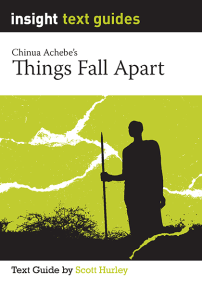 INSIGHT TEXT GUIDE: THINGS FALL APART + EBOOK BUNDLE