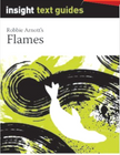 INSIGHT TEXT GUIDE: FLAMES + EBOOK BUNDLE