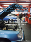CERT II IN AUTOMOTIVE VOCATIONAL PREPARATION: WORK EFFECTIVELY WITH OTHERS IN AN AUTOMOTIVE WORKPLACE 