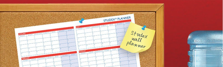 STUDEX WALL PLANNER 2023/2024