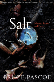 SALT: SELECTED STORIES AND ESSAYS