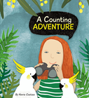 A COUNTING ADVENTURE (HARDBACK)