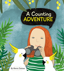 A COUNTING ADVENTURE (HARDBACK)