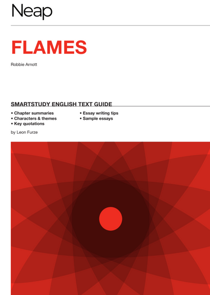 NEAP SMARTSTUDY: FLAMES