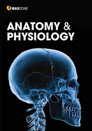 BIOZONE: ANATOMY AND PHYSIOLOGY STUDENT BOOK 3E