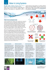BIOZONE IB BIOLOGY: DIPLOMA PROGRAMME: STUDENT EDITION