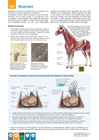 BIOZONE IB BIOLOGY: DIPLOMA PROGRAMME: STUDENT EDITION