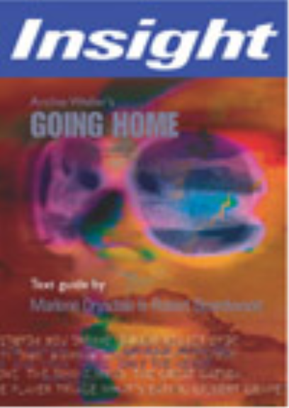 INSIGHT TEXT GUIDE: GOING HOME
