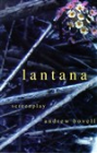 LANTANA (SCREENPLAY)